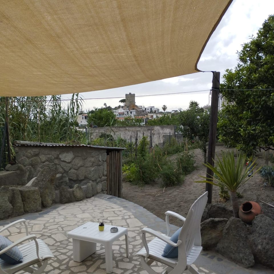 Garden, Balcony/Terrace
