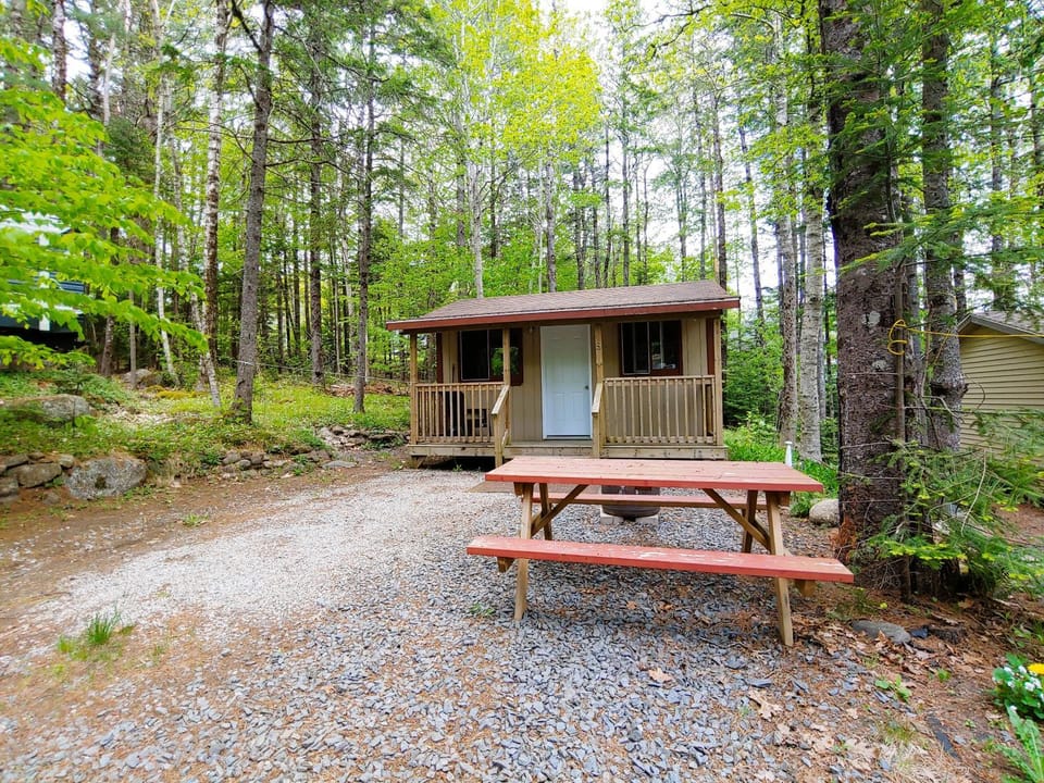 Oakhill Pines Campground Campground/ 
RV Resort in Bridgewater