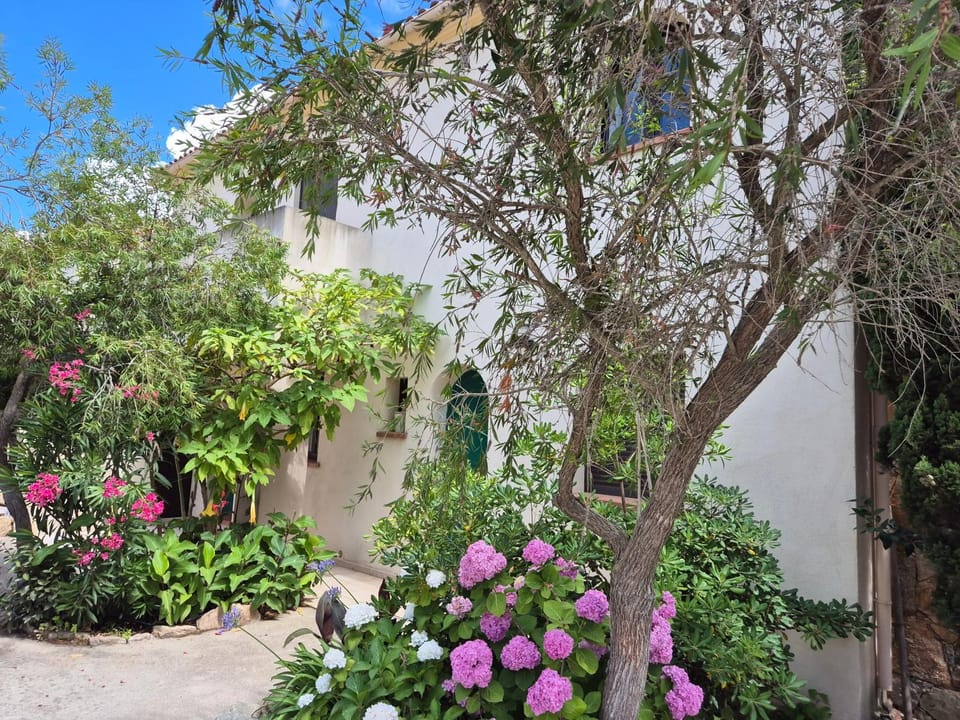 Joli appartement climatisé avec terrasse à moin 10 minutes à pieds de la plage Apartment in Calvi