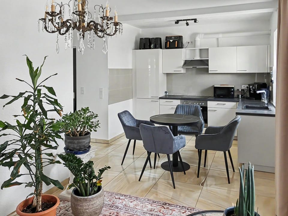 Kitchen or kitchenette, Dining area, pet friendly, stove