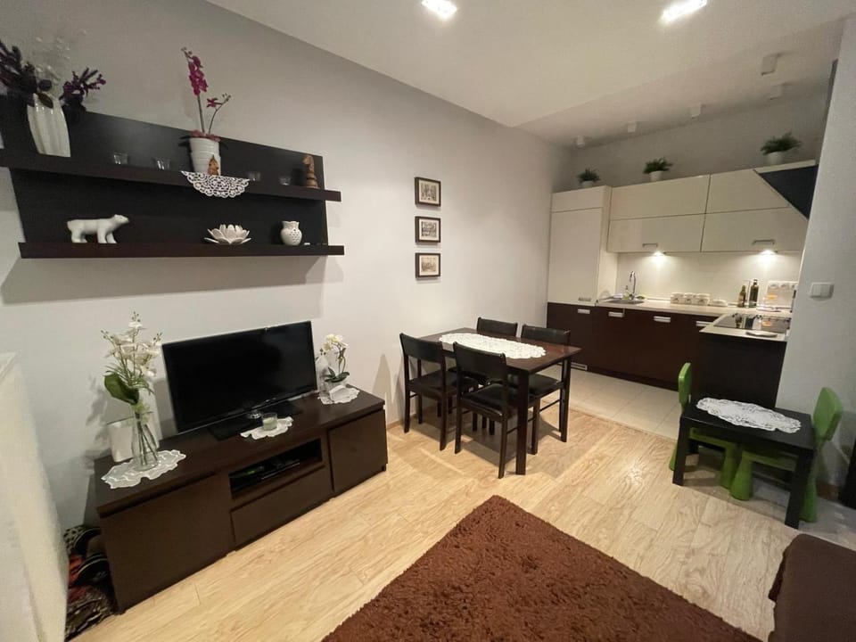 TV and multimedia, Kitchen or kitchenette, Living room, Dining area, stove