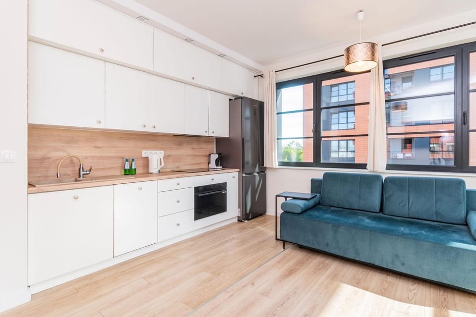 Kitchen or kitchenette, Living room, Seating area, dishwasher, oven, stove