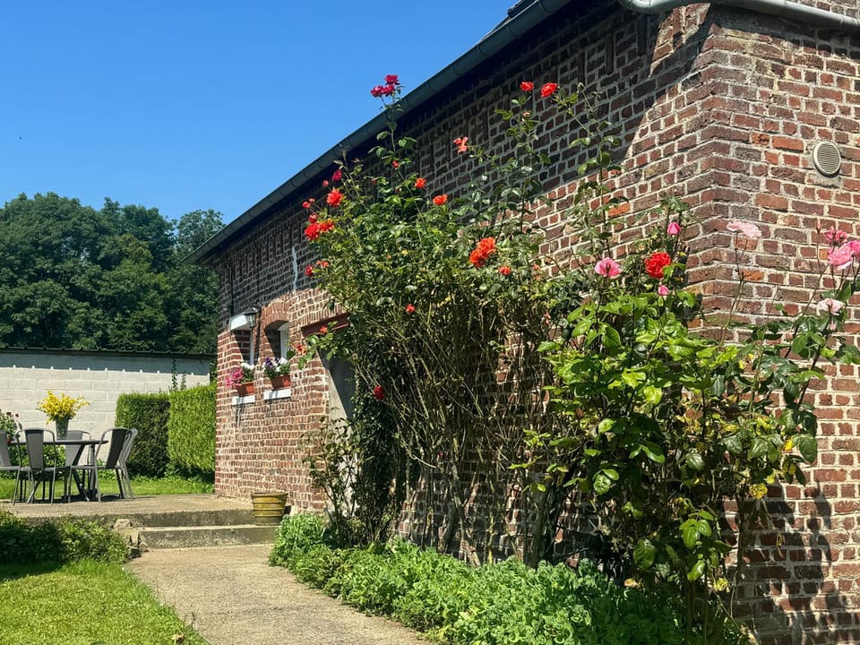 Property building, Garden