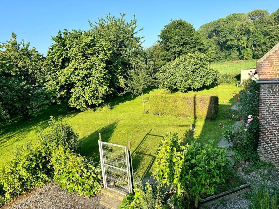 Garden, Garden view, Parking
