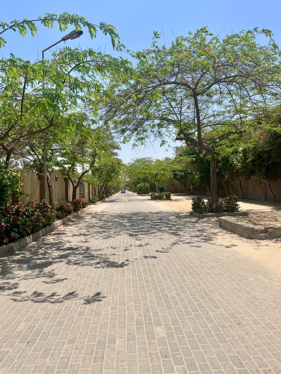 Luca Pyramids Inn Bed and Breakfast in Egypt