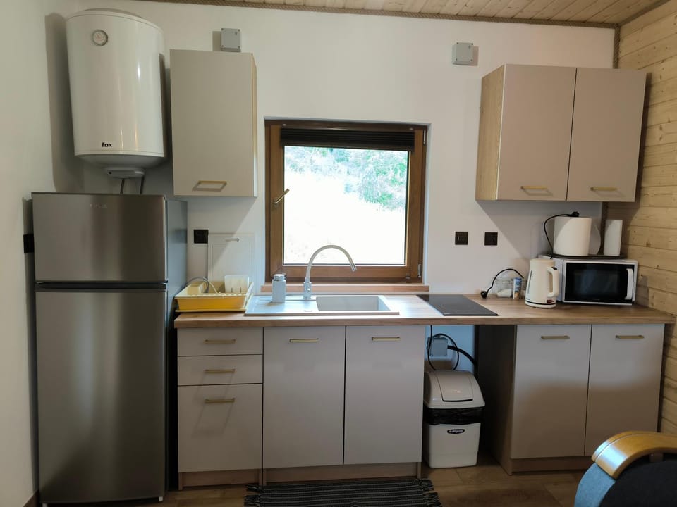 Coffee/tea facilities, Kitchen or kitchenette, oven, stove