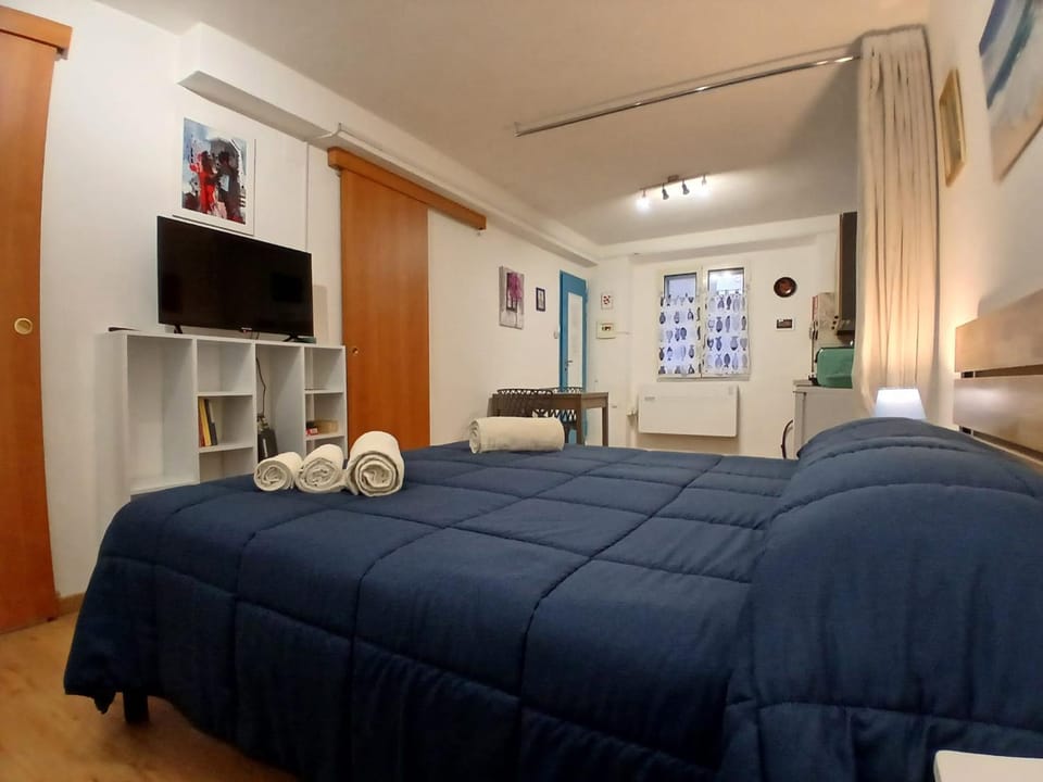 Bed, TV and multimedia, Photo of the whole room, Evening entertainment, Bedroom