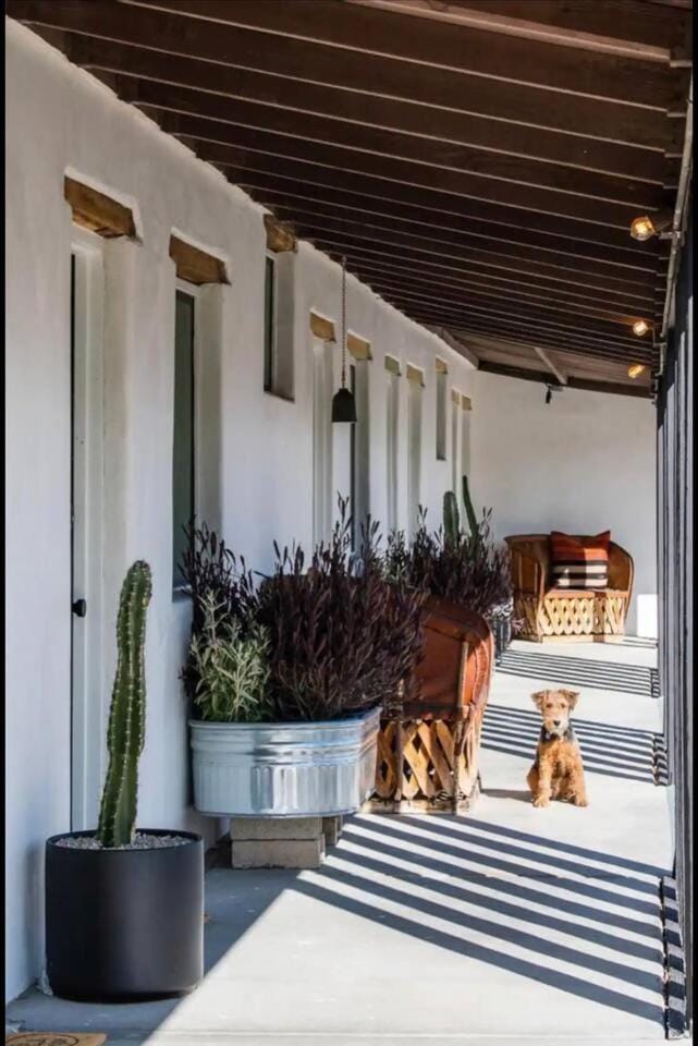 Day, Balcony/Terrace