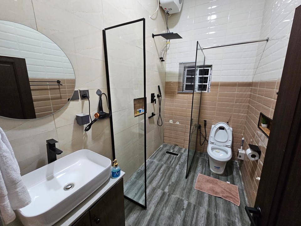 Toilet, Bathroom, hair dryier