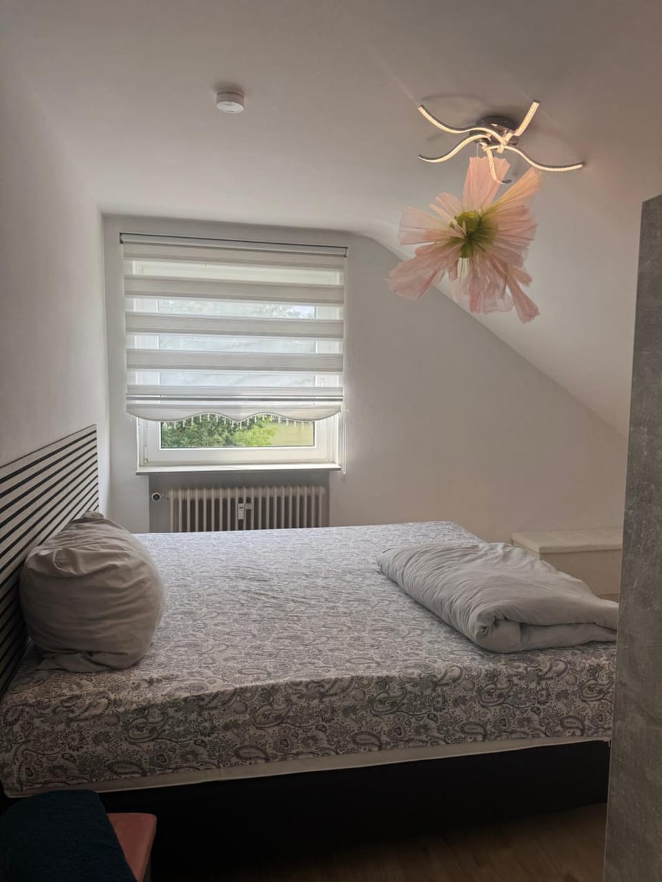 Am Auepark Apartment in Kassel