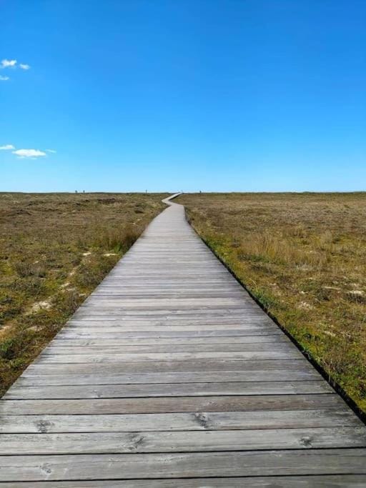 Natural landscape