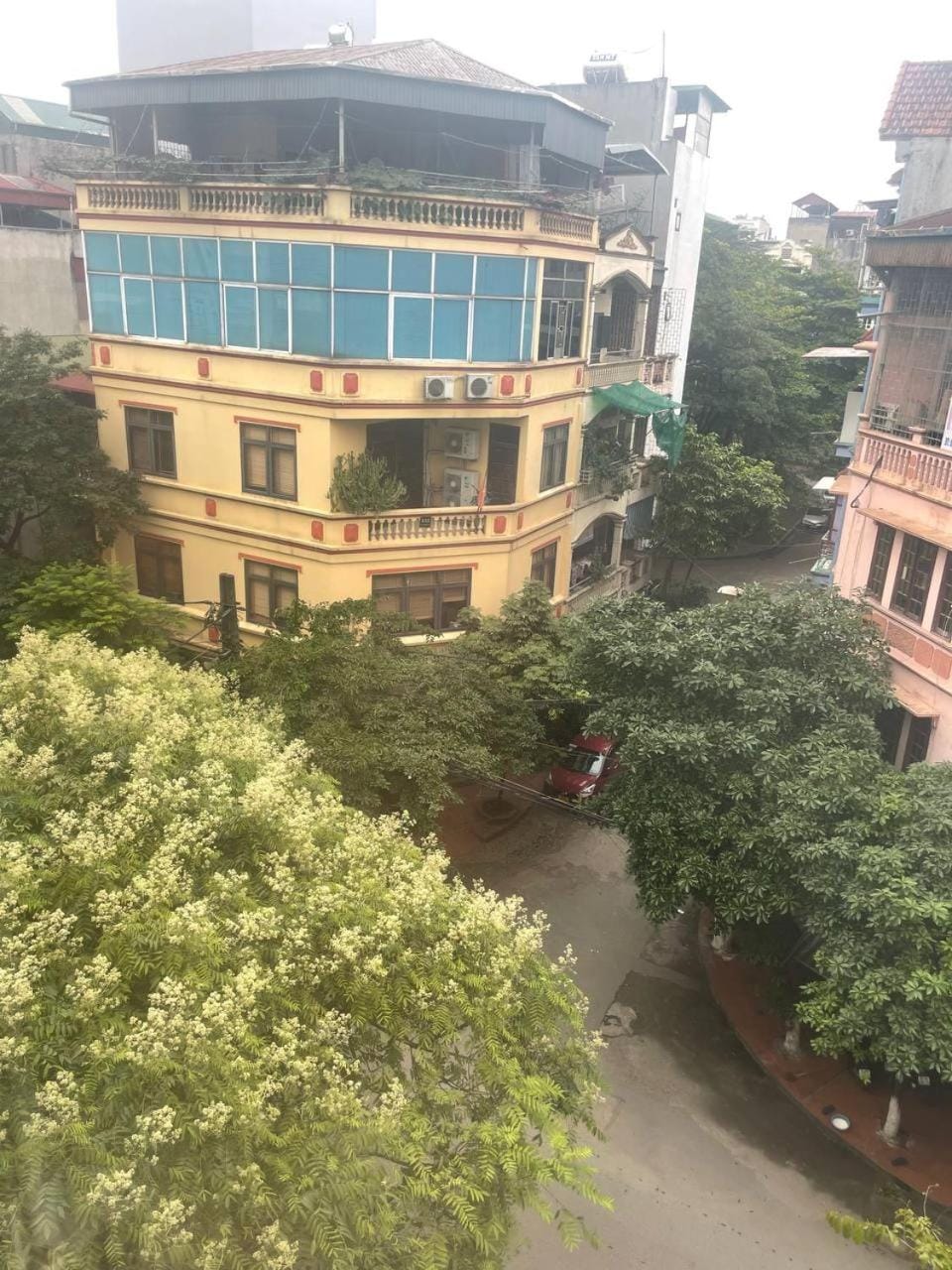 Garden view