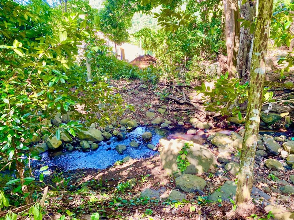 River view