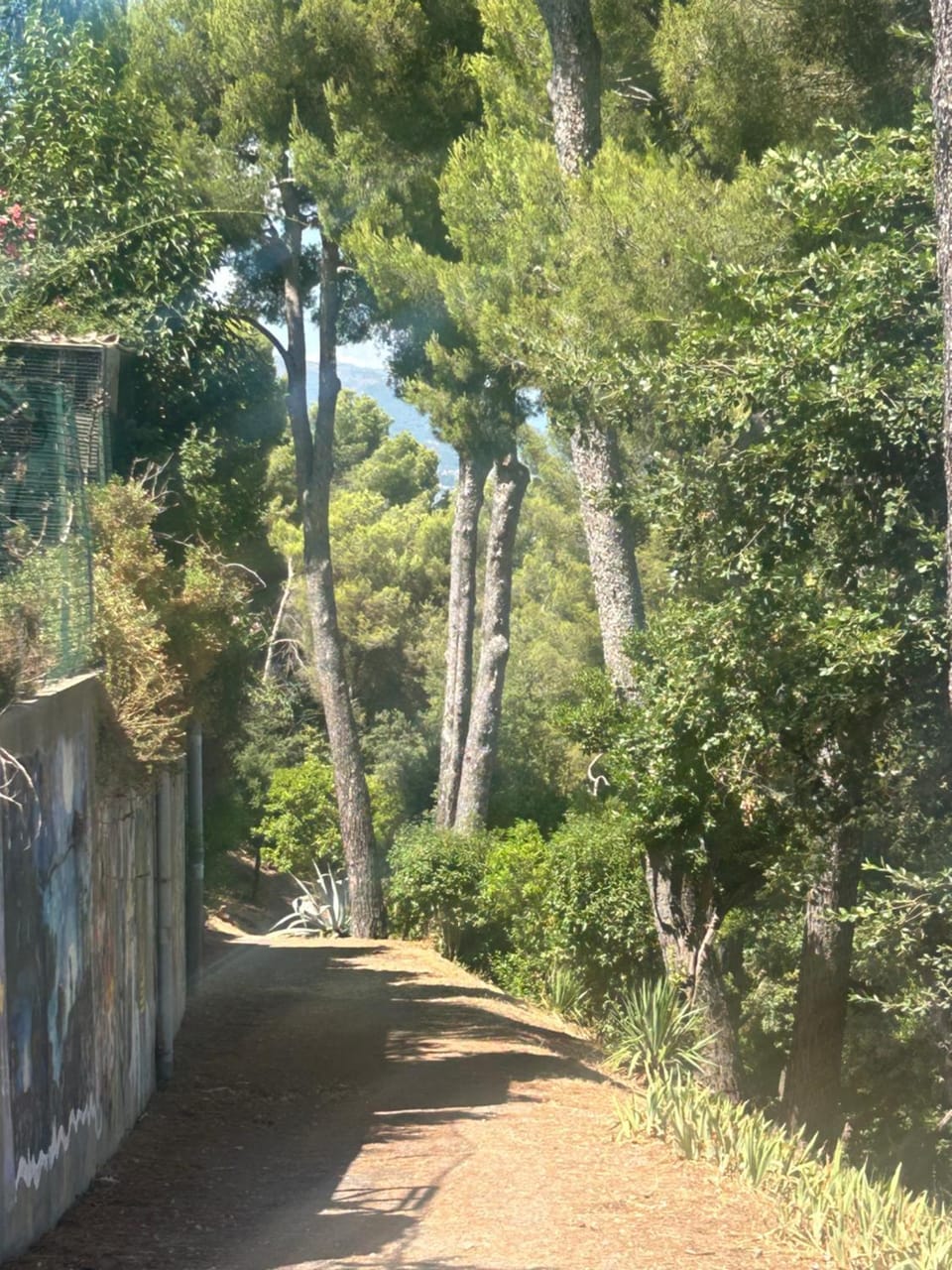 Calm#Child friendly#Home#Beach#Airport Villa in Cagnes-sur-Mer