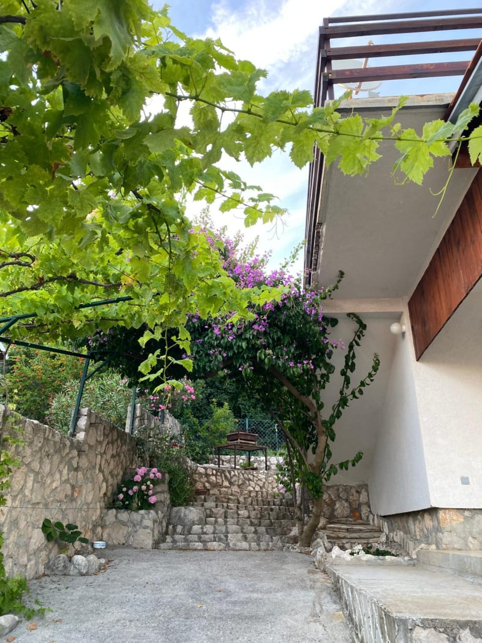 Cozy Place Apartment in Ulcinj Municipality