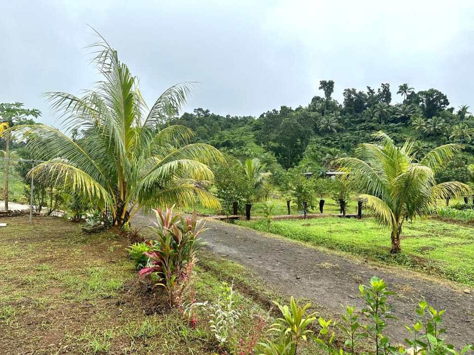 Furnished Modern Farm Flat Tuvurara Savusavu Jasmeeruls Bayt Apartment in Fiji