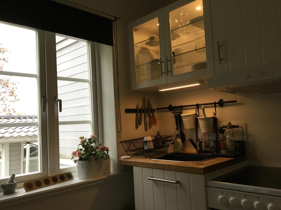 Studio apartment centrally located Apartment in Sweden