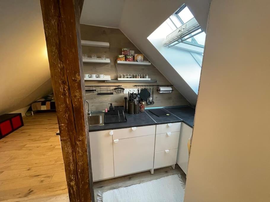 Francis Apartment II - Spa Center Karlovy Vary Apartment in Saxony