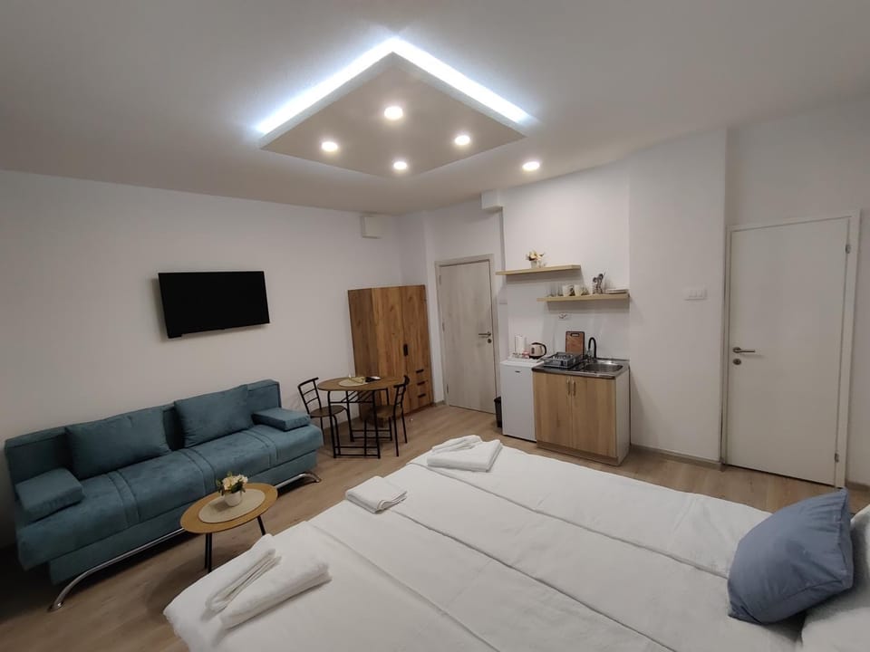 TV and multimedia, Coffee/tea facilities, Kitchen or kitchenette, Photo of the whole room, Seating area, Bedroom