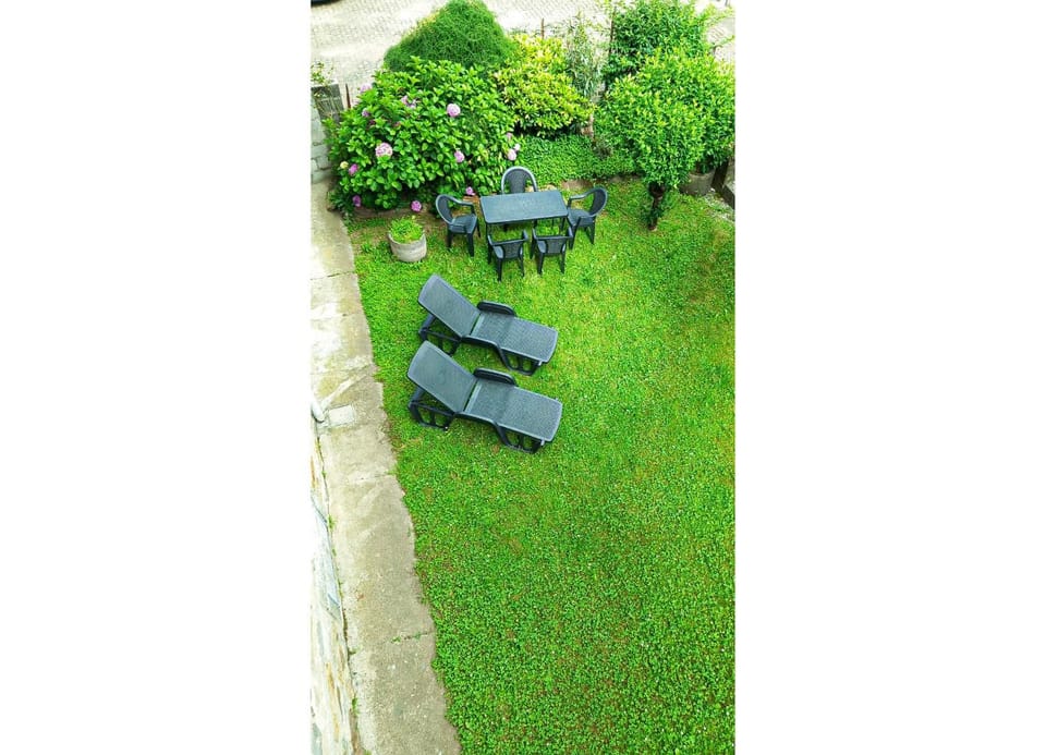 Garden, Garden view, sunbed