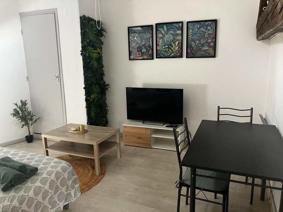 Studio confortable Apartment in Auvergne-Rhône-Alpes