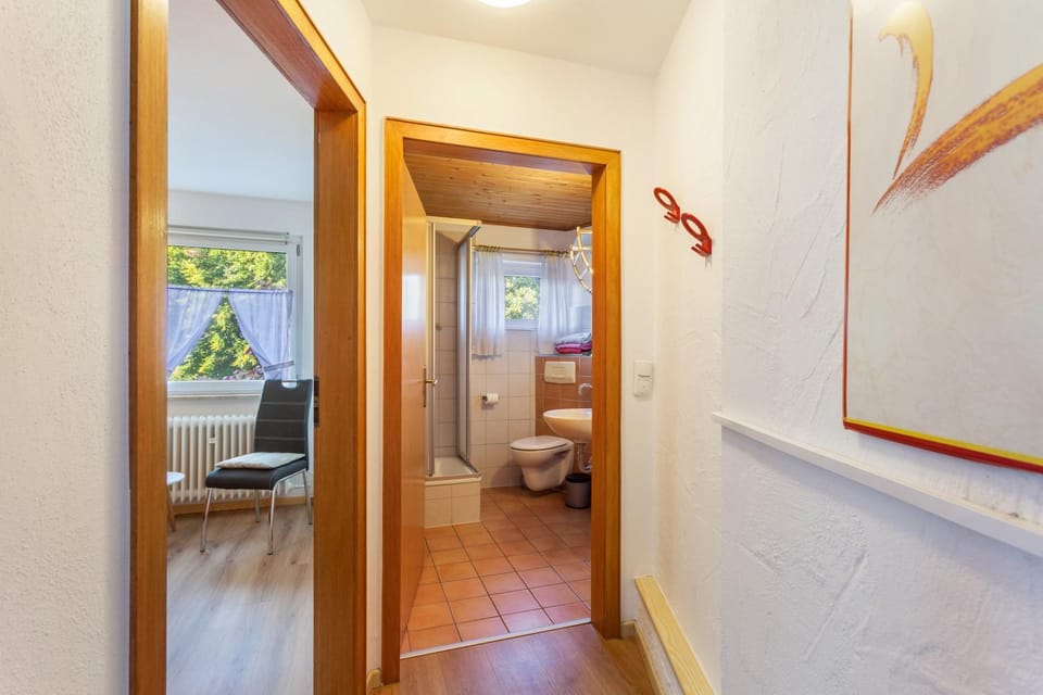 Ferienwohnungen Lindenhof Apartment in Willingen