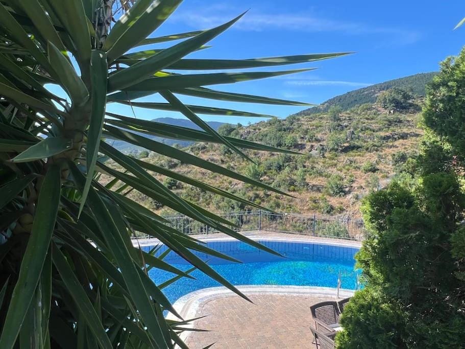 Natural landscape, Mountain view, Pool view, Swimming pool