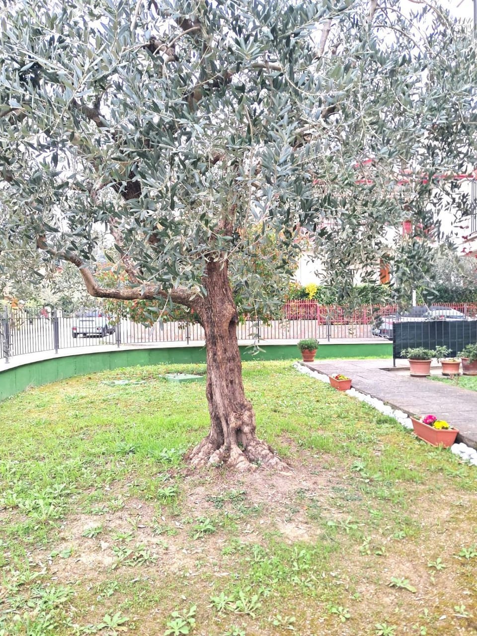 Garden view
