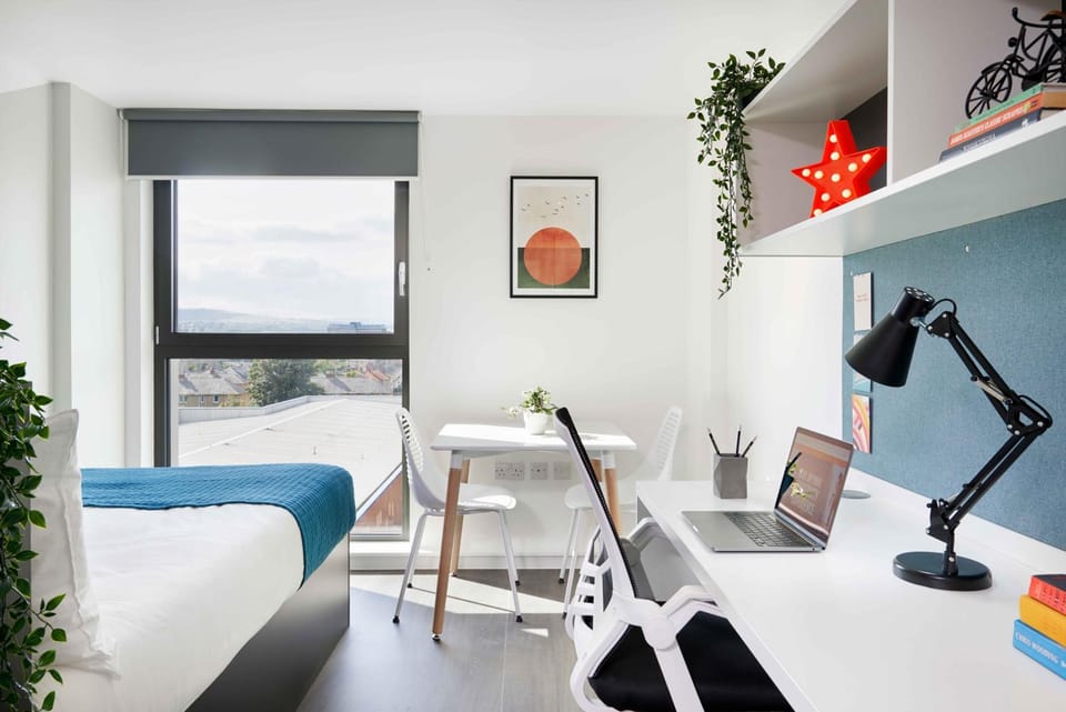 Bed, Seating area, Bedroom