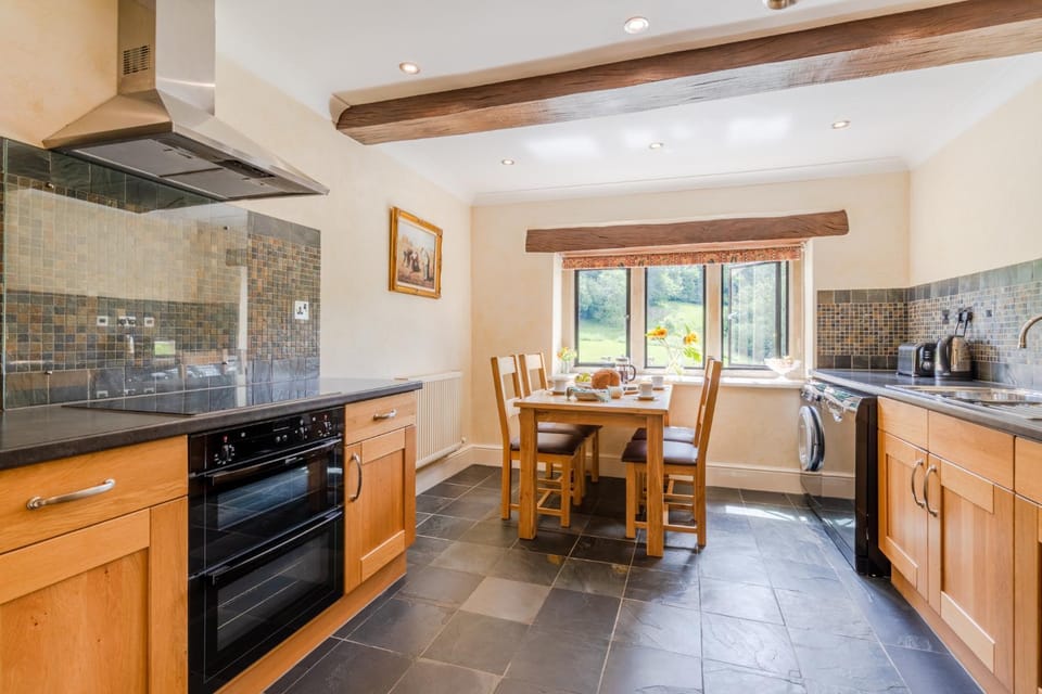 Kitchen or kitchenette, Dining area, oven, stove