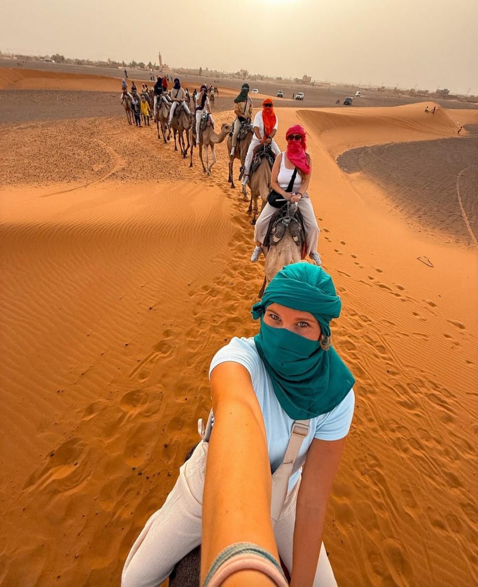Day, People, Natural landscape, Horse-riding, Beach, Cycling, Animals, Guests, children, group of guests