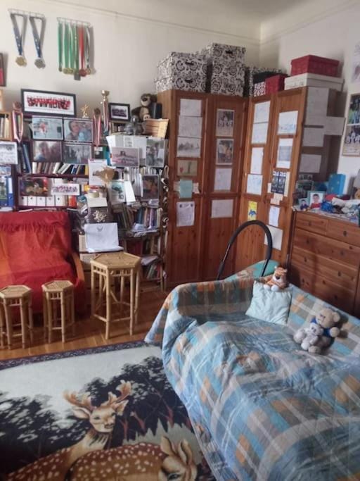 Holiday or working, feel good in the retro style apartment of a European Jiu Jitsu Champion! Apartment in Budapest
