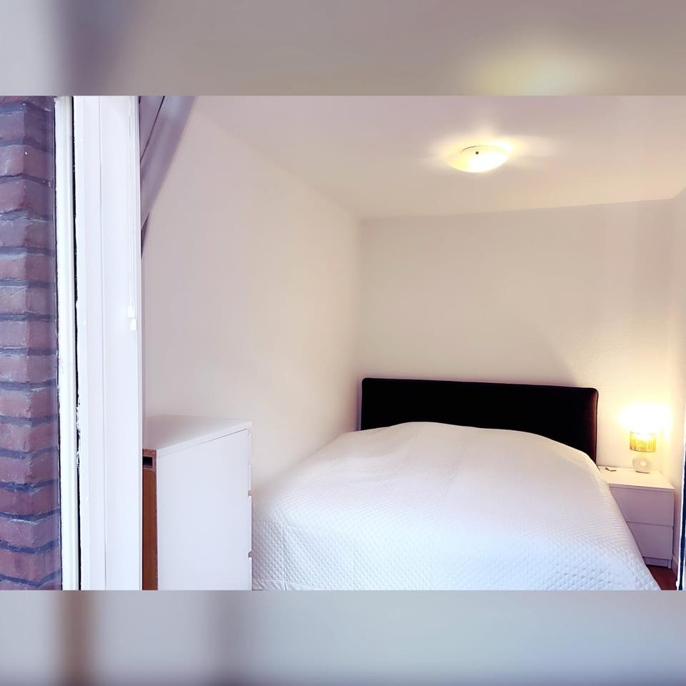 DomCity Apt Near Amsterdam Bikes Included One mile to City Centre Apartment in Utrecht