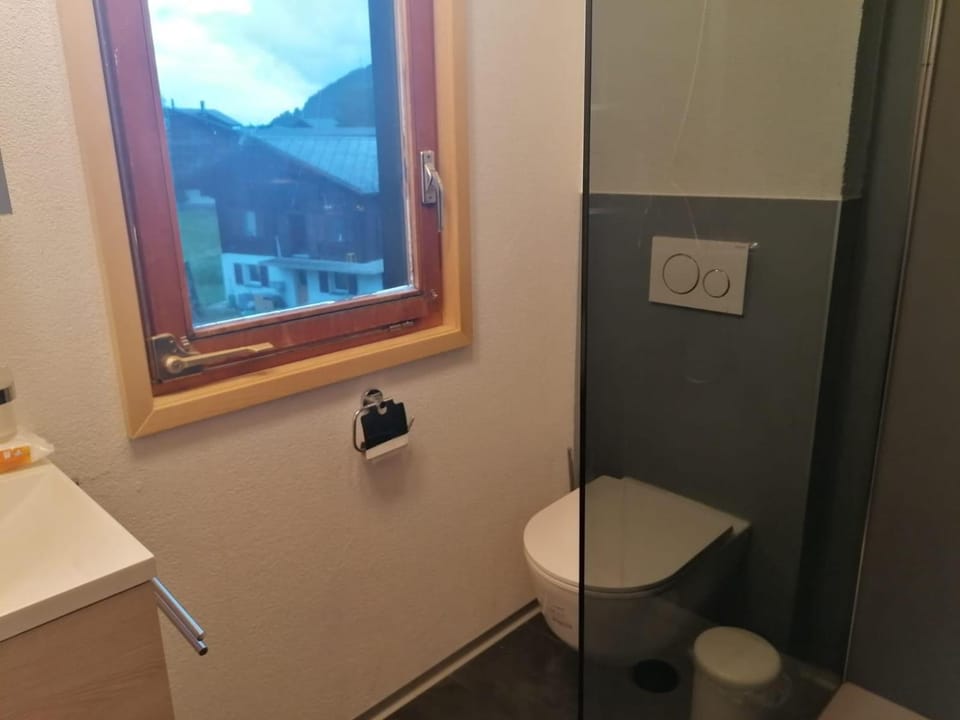 Haus Zur Mühle Apartment in Canton of Valais