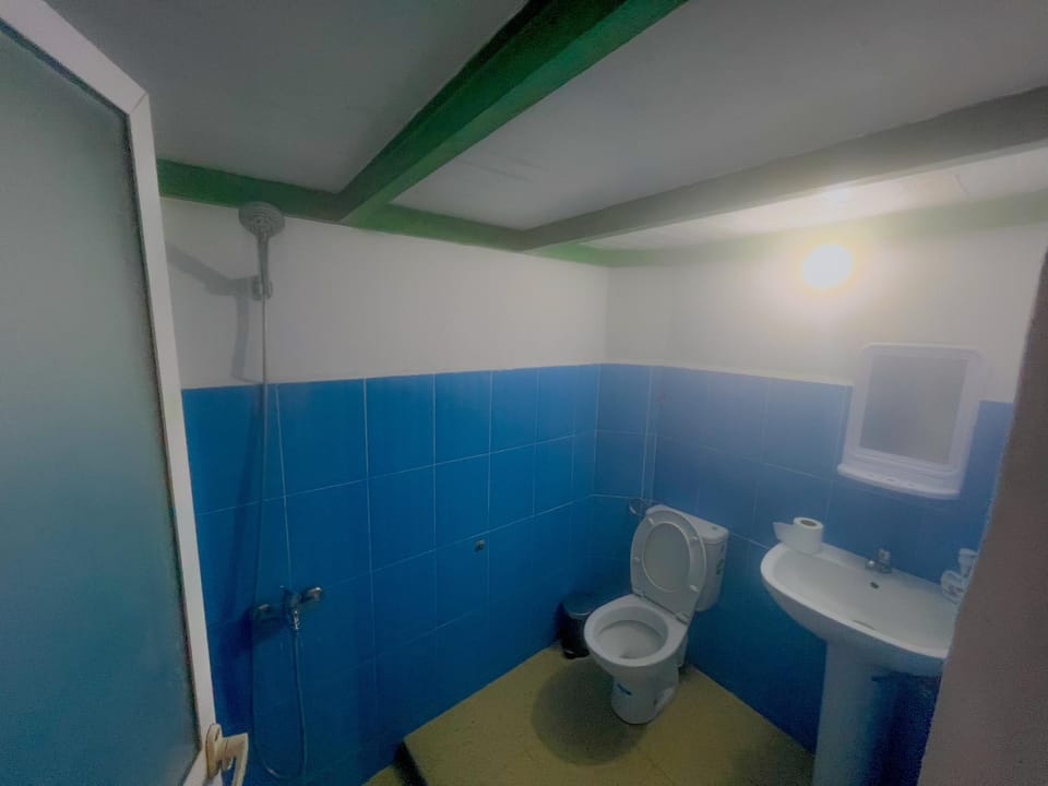 Toilet, Bathroom