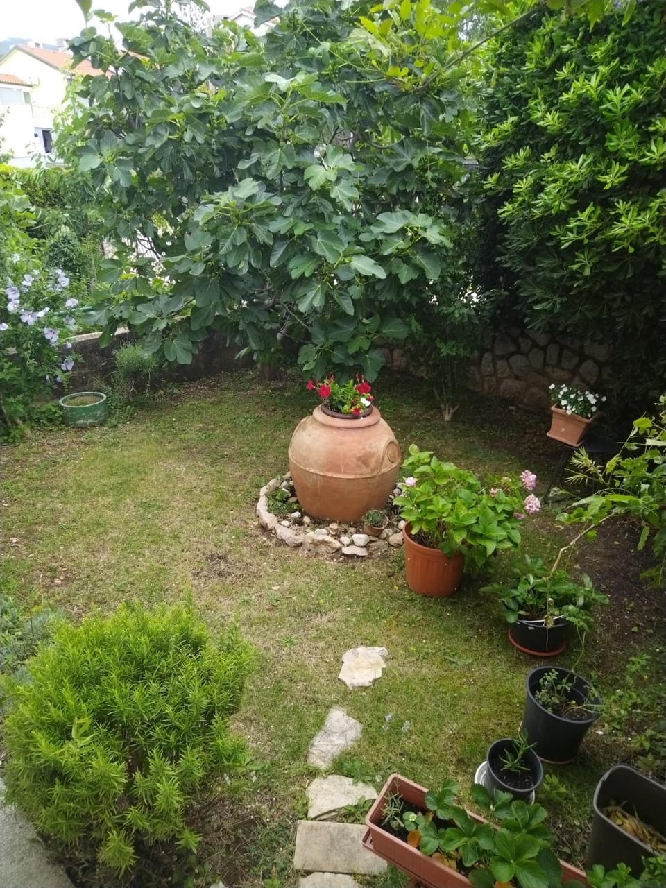 Spring, Day, Garden view