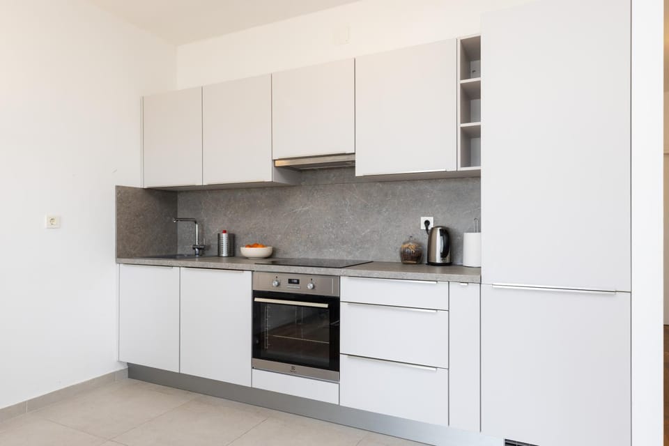 Kitchen or kitchenette, dishwasher, stove