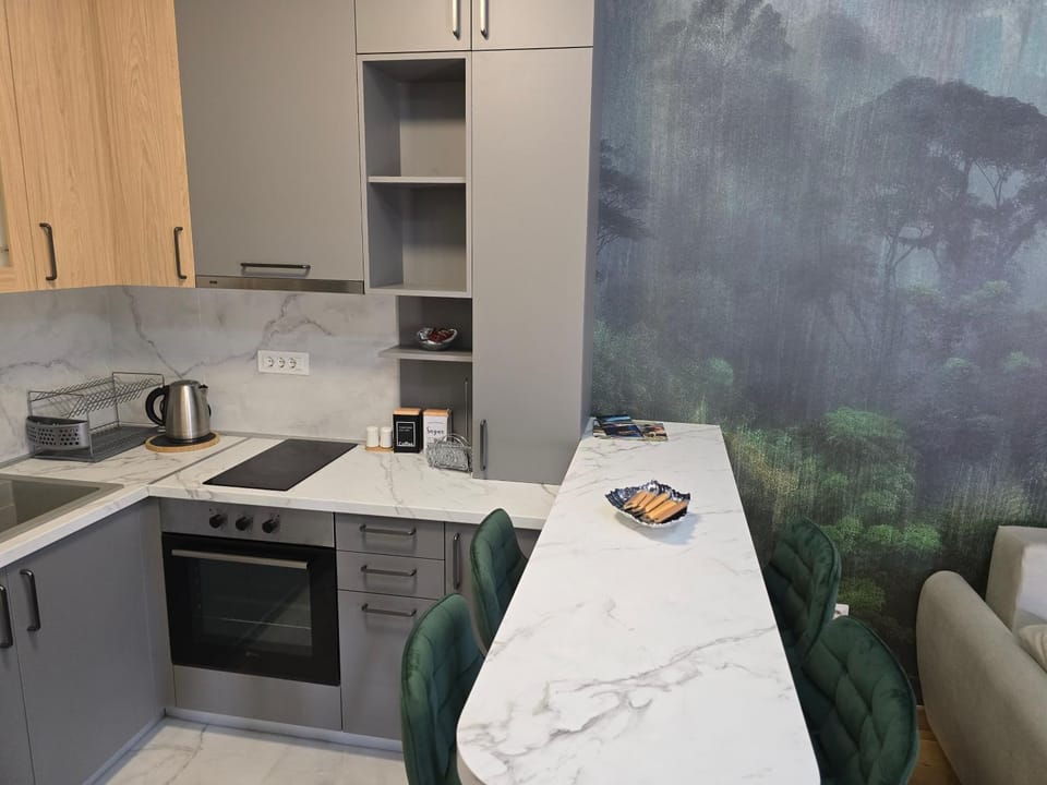 Bulevar lux Čačak Apartment in Serbia