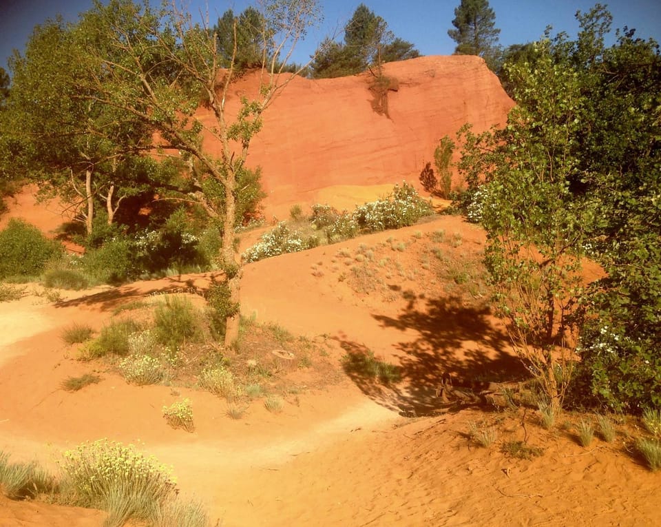 Natural landscape