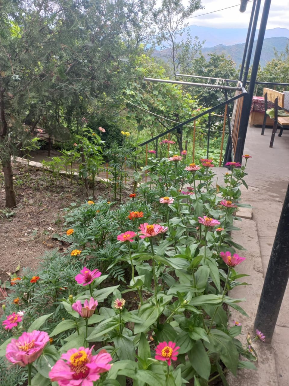 Vamesa Bed and Breakfast in Armenia