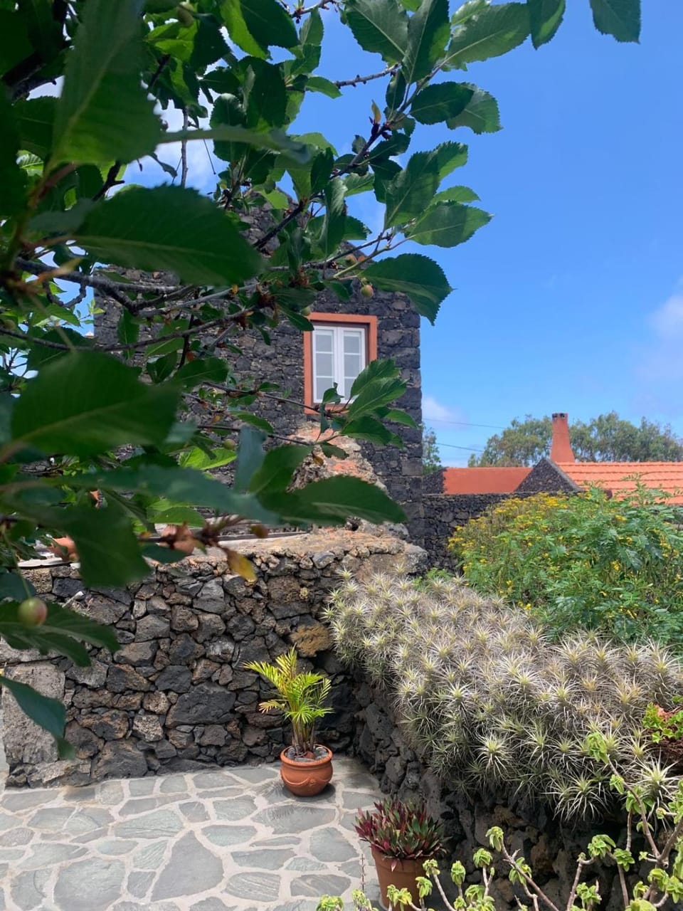 Casa Rural Las Guindas - Cozy Rural House, Hierro Apartment in El Hierro