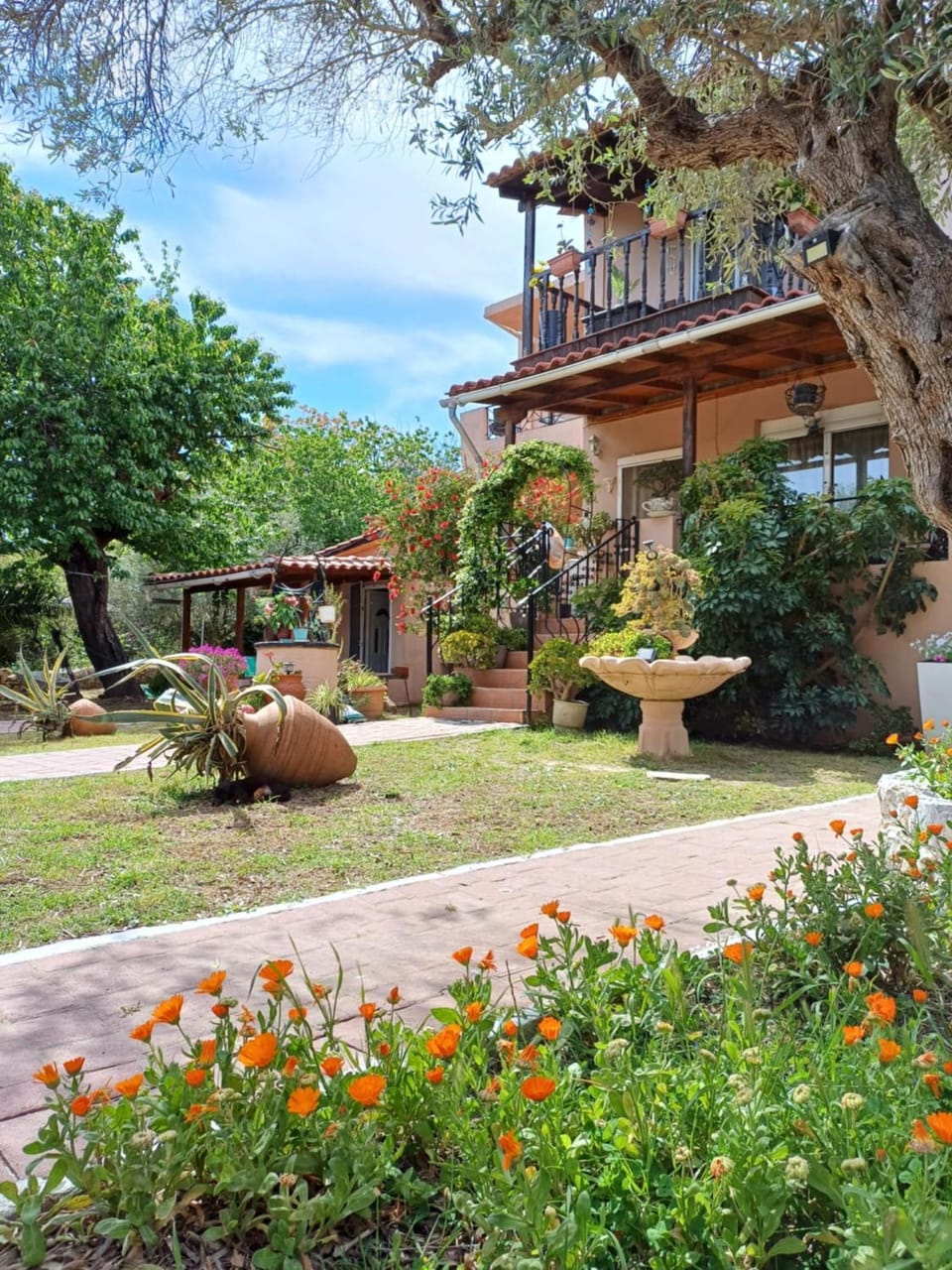 Daisy rooms Skiathos Apartment in Skiathos
