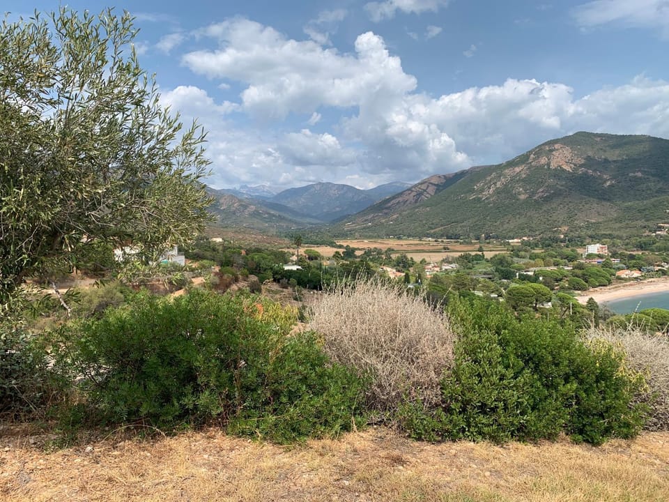 Mountain view
