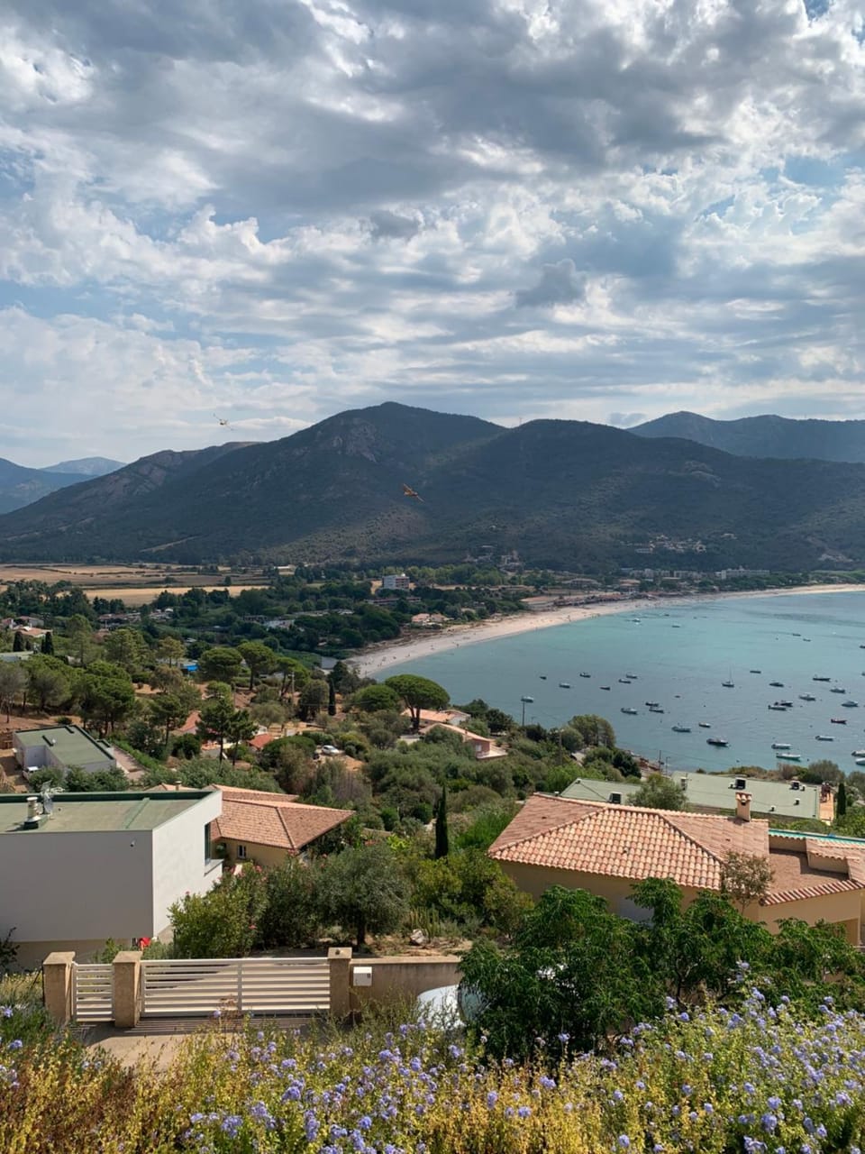 Sea view