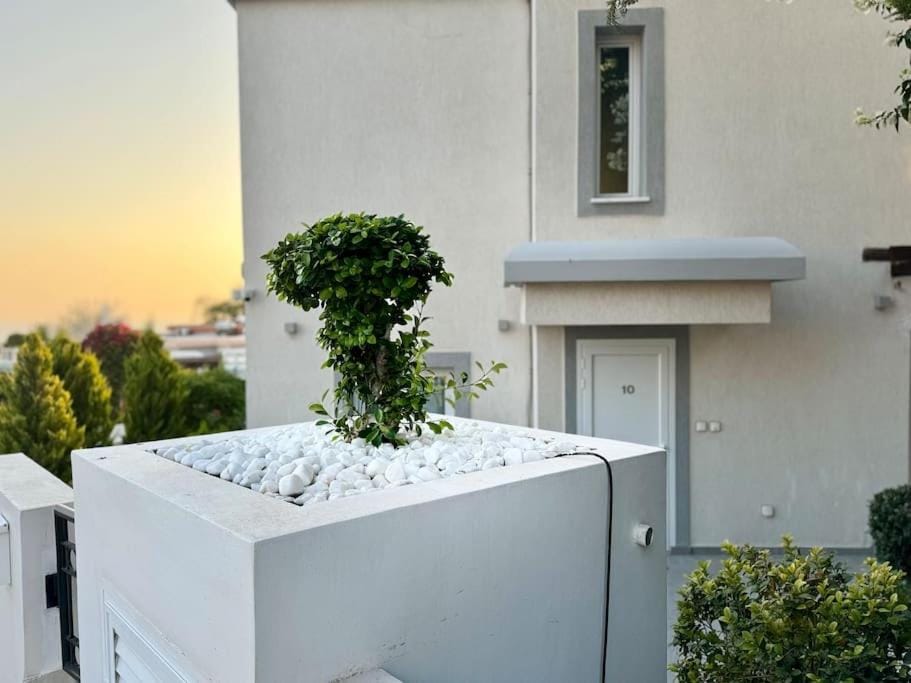 Villa Valendra Apartment in Peyia