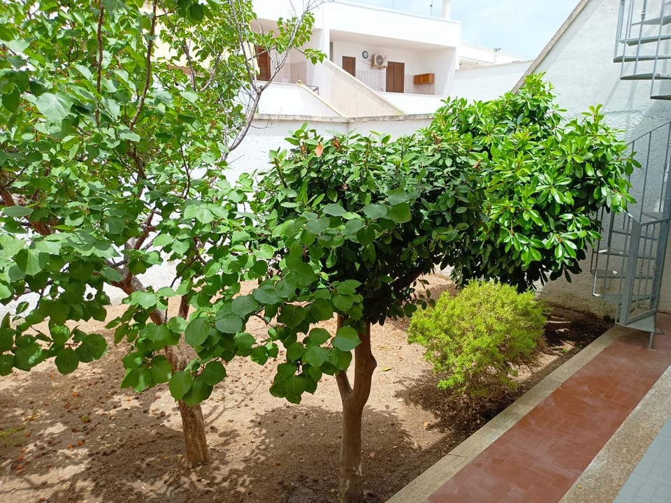Garden, Garden view