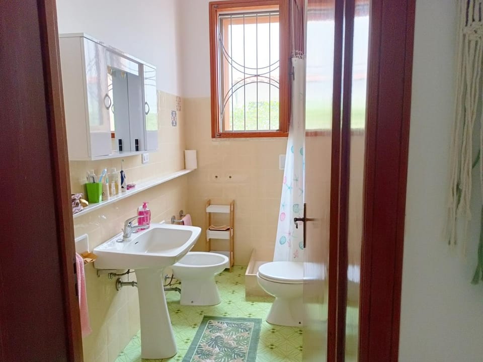 Shower, Toilet, Bathroom, bidet