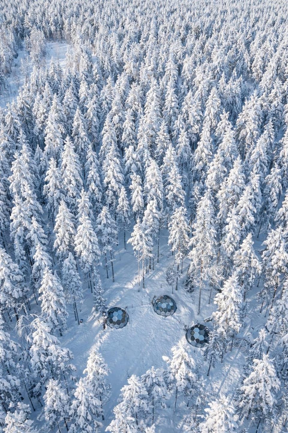 Day, Natural landscape, Bird's eye view, Winter, Garden view