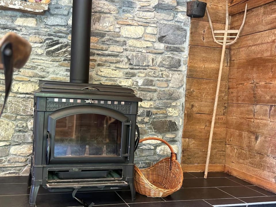 La R'mise Chalet in Montriond