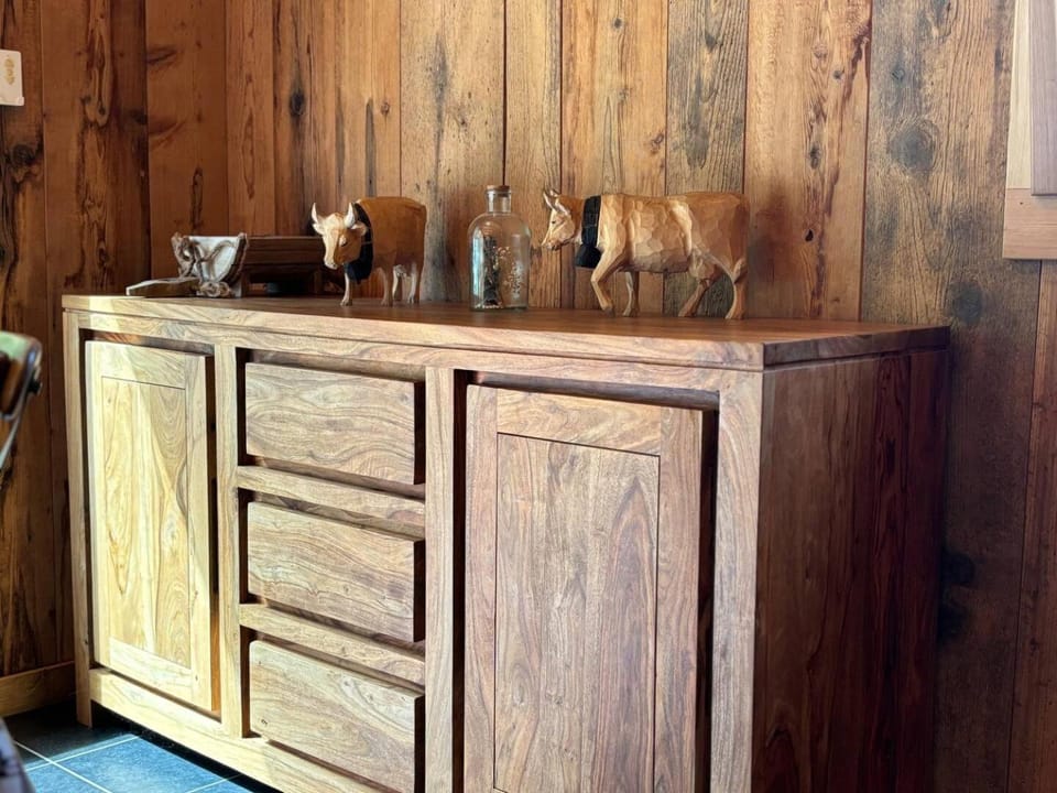 La R'mise Chalet in Montriond